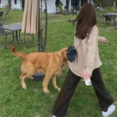 凶宅怪谈2